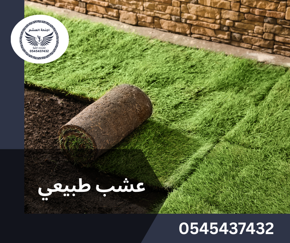 تركيب عشب طبيعي